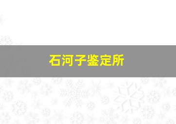 石河子鉴定所