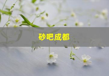 砂吧成都