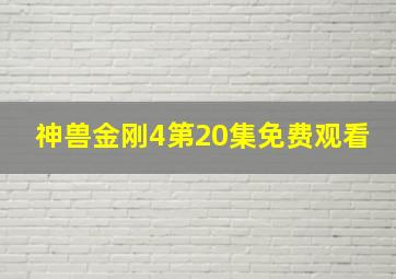 神兽金刚4第20集免费观看