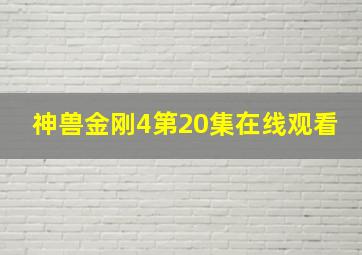 神兽金刚4第20集在线观看