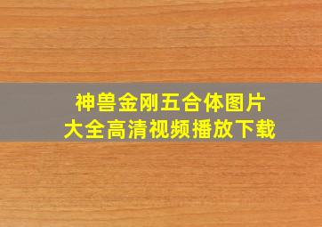 神兽金刚五合体图片大全高清视频播放下载