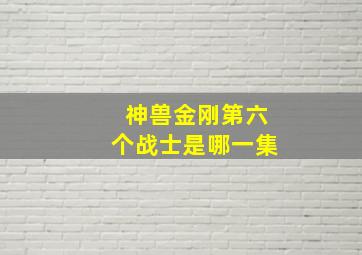 神兽金刚第六个战士是哪一集