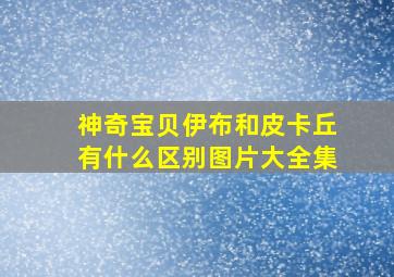 神奇宝贝伊布和皮卡丘有什么区别图片大全集