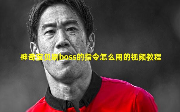 神奇宝贝刷boss的指令怎么用的视频教程