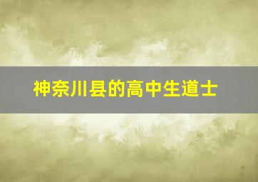 神奈川县的高中生道士