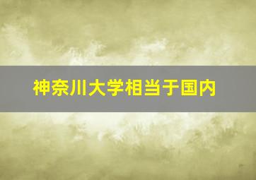 神奈川大学相当于国内