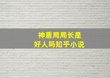 神盾局局长是好人吗知乎小说