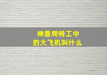 神盾局特工中的大飞机叫什么