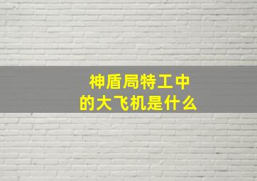 神盾局特工中的大飞机是什么