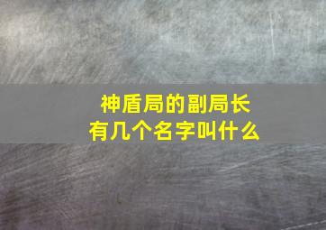 神盾局的副局长有几个名字叫什么