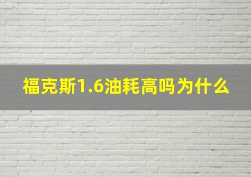 福克斯1.6油耗高吗为什么