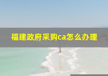 福建政府采购ca怎么办理