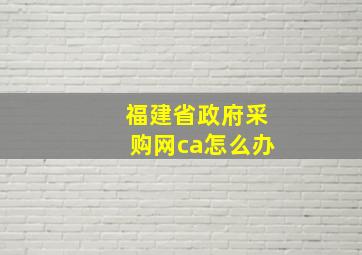 福建省政府采购网ca怎么办