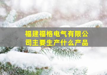 福建福格电气有限公司主要生产什么产品