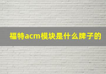 福特acm模块是什么牌子的