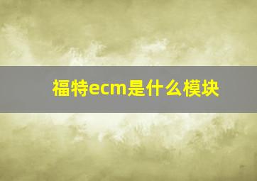 福特ecm是什么模块