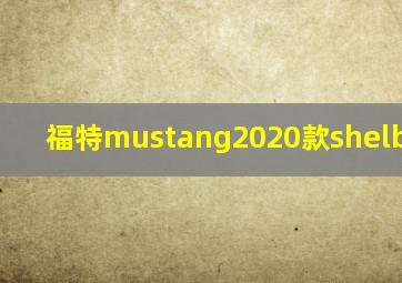 福特mustang2020款shelbygt500