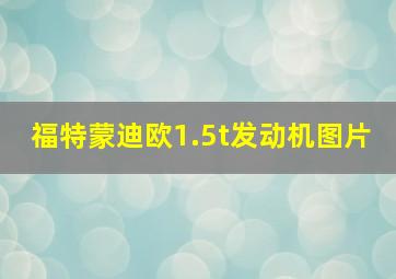 福特蒙迪欧1.5t发动机图片