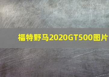 福特野马2020GT500图片