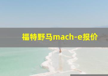 福特野马mach-e报价