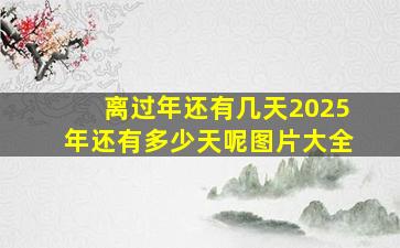 离过年还有几天2025年还有多少天呢图片大全