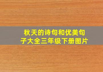 秋天的诗句和优美句子大全三年级下册图片