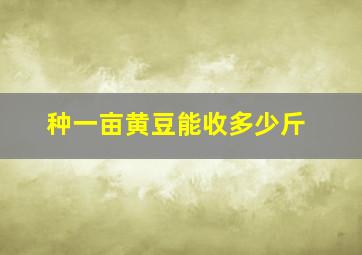 种一亩黄豆能收多少斤