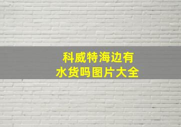 科威特海边有水货吗图片大全