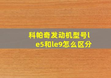 科帕奇发动机型号le5和le9怎么区分