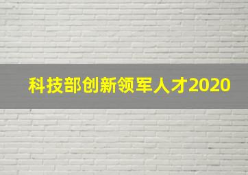 科技部创新领军人才2020