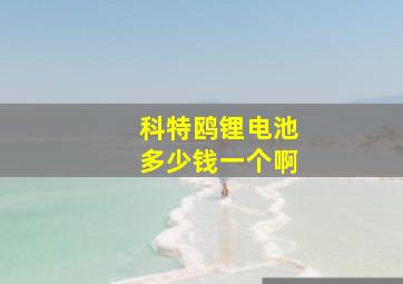 科特鸥锂电池多少钱一个啊