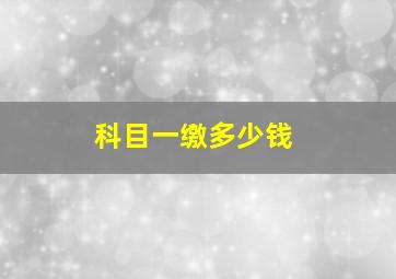 科目一缴多少钱