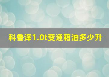 科鲁泽1.0t变速箱油多少升