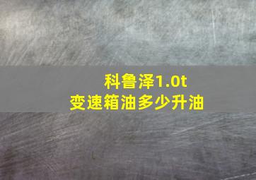 科鲁泽1.0t变速箱油多少升油