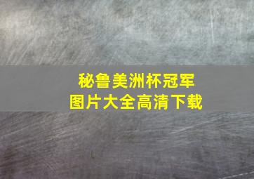 秘鲁美洲杯冠军图片大全高清下载