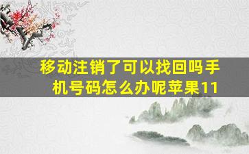 移动注销了可以找回吗手机号码怎么办呢苹果11