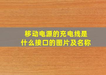 移动电源的充电线是什么接口的图片及名称