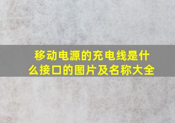 移动电源的充电线是什么接口的图片及名称大全