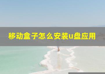 移动盒子怎么安装u盘应用