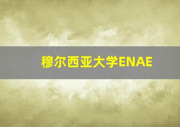 穆尔西亚大学ENAE