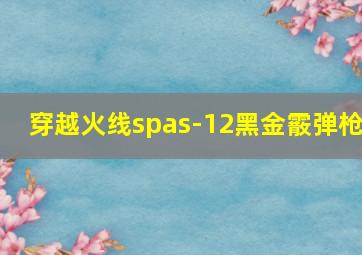 穿越火线spas-12黑金霰弹枪