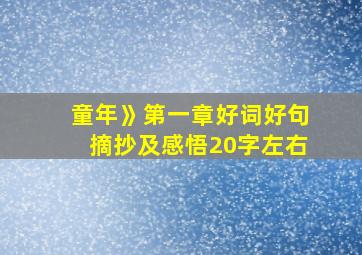 童年》第一章好词好句摘抄及感悟20字左右