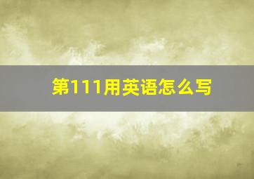 第111用英语怎么写