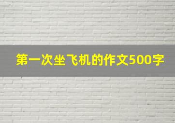 第一次坐飞机的作文500字