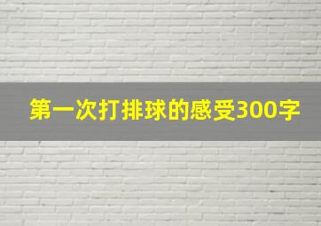 第一次打排球的感受300字