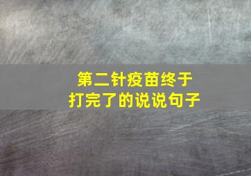 第二针疫苗终于打完了的说说句子