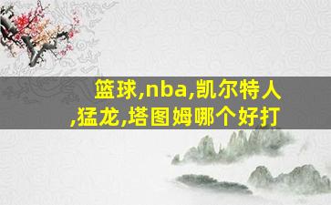 篮球,nba,凯尔特人,猛龙,塔图姆哪个好打