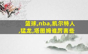 篮球,nba,凯尔特人,猛龙,塔图姆谁厉害些