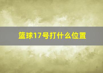 篮球17号打什么位置