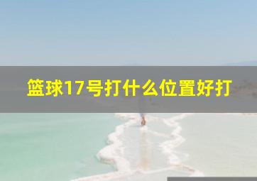 篮球17号打什么位置好打